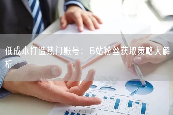 低成本打造热门账号：B站粉丝获取策略大解析