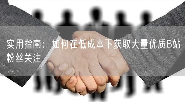 实用指南：如何在低成本下获取大量优质B站粉丝关注