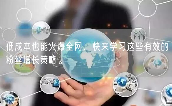 低成本也能火爆全网，快来学习这些有效的粉丝增长策略。