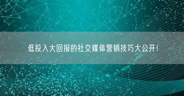 低投入大回报的社交媒体营销技巧大公开！