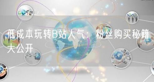 低成本玩转B站人气：粉丝购买秘籍大公开
