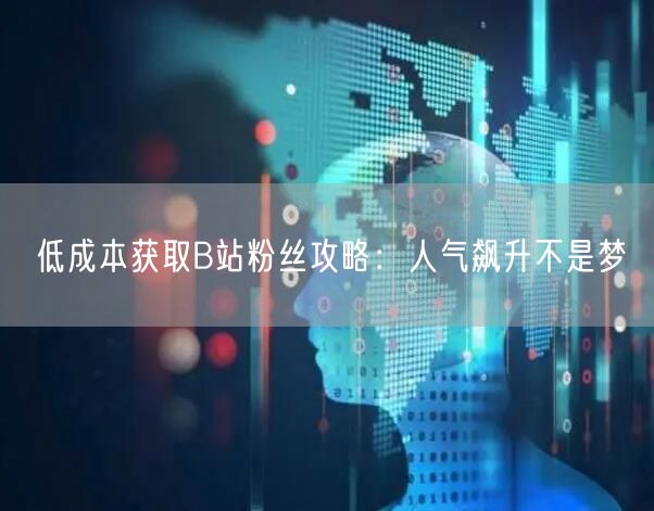 低成本获取B站粉丝攻略：人气飙升不是梦