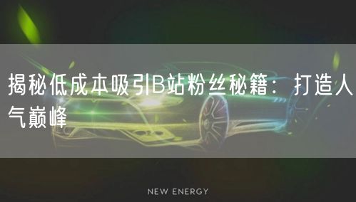 揭秘低成本吸引B站粉丝秘籍：打造人气巅峰