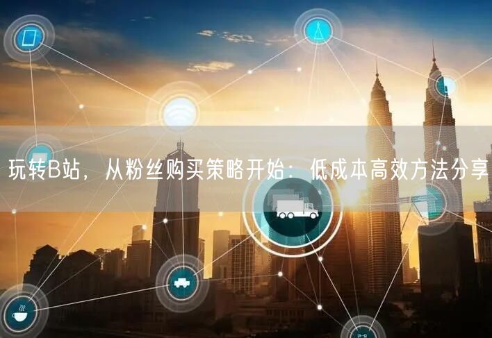 玩转B站，从粉丝购买策略开始：低成本高效方法分享