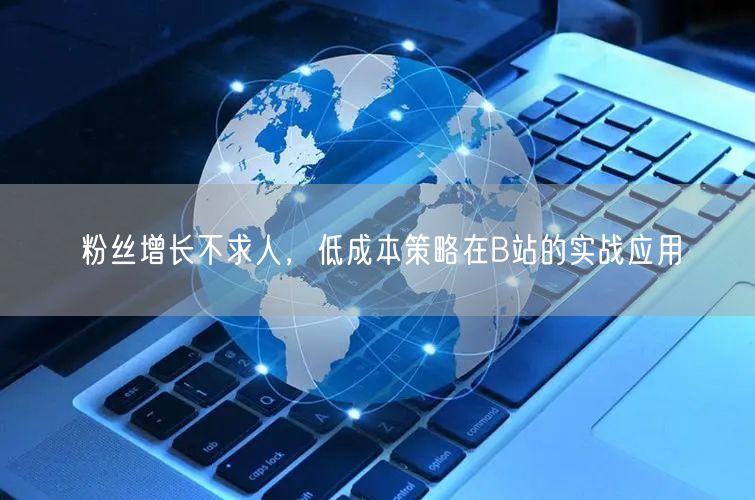 粉丝增长不求人，低成本策略在B站的实战应用