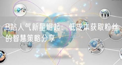 B站人气新星崛起：低成本获取粉丝的智慧策略分享