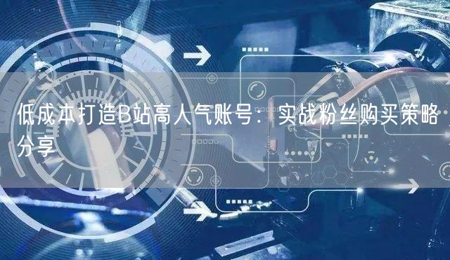 低成本打造B站高人气账号：实战粉丝购买策略分享