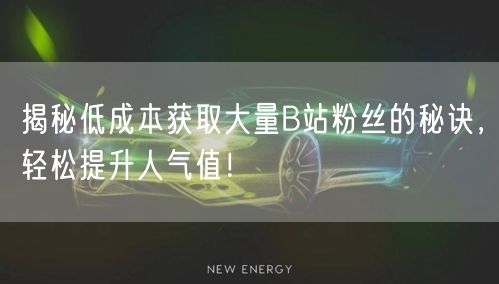 揭秘低成本获取大量B站粉丝的秘诀，轻松提升人气值！