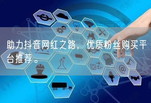 助力抖音网红之路，优质粉丝购买平台推荐。