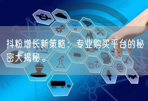 抖粉增长新策略：专业购买平台的秘密大揭秘。