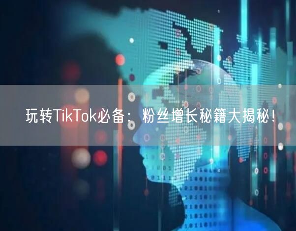 玩转TikTok必备：粉丝增长秘籍大揭秘！