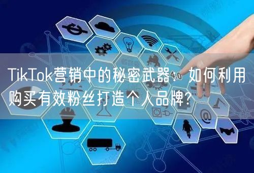 TikTok营销中的秘密武器：如何利用购买有效粉丝打造个人品牌?