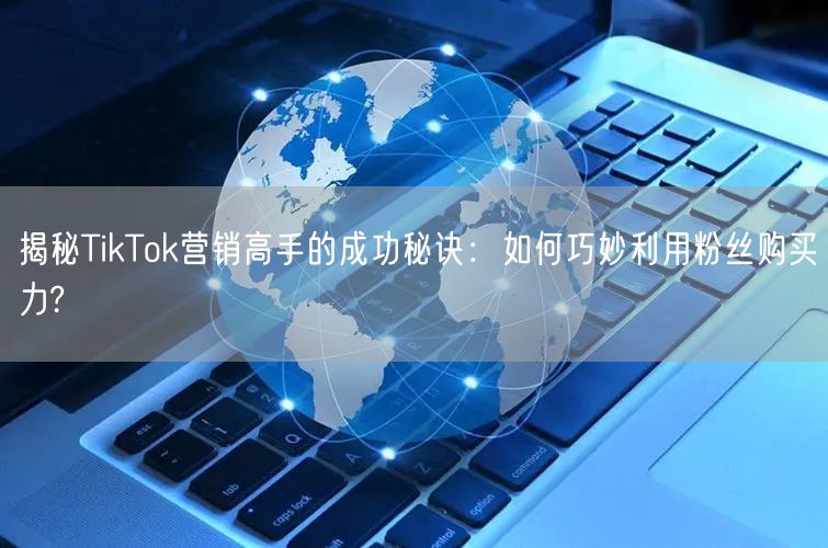 揭秘TikTok营销高手的成功秘诀：如何巧妙利用粉丝购买力?