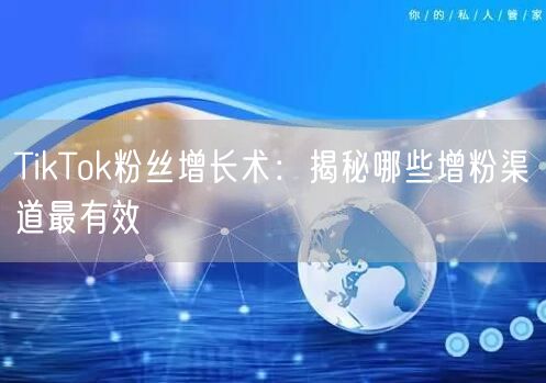 TikTok粉丝增长术：揭秘哪些增粉渠道最有效