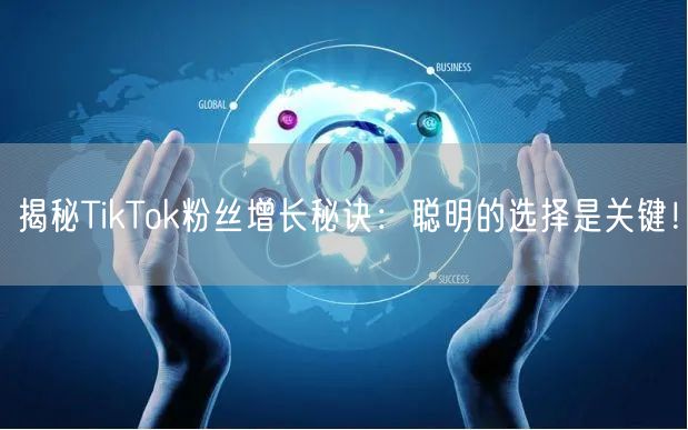揭秘TikTok粉丝增长秘诀：聪明的选择是关键！