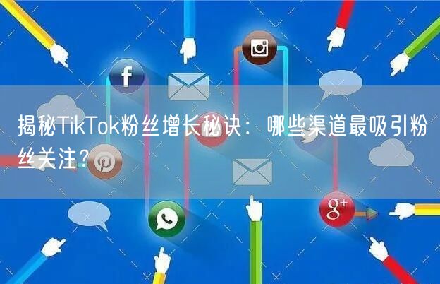 揭秘TikTok粉丝增长秘诀：哪些渠道最吸引粉丝关注？