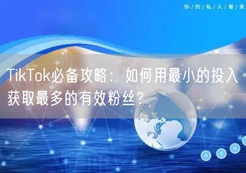 TikTok必备攻略：如何用最小的投入获取最多的有效粉丝？