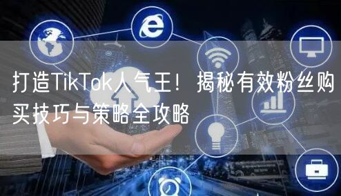 打造TikTok人气王！揭秘有效粉丝购买技巧与策略全攻略