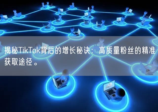 揭秘TikTok背后的增长秘诀：高质量粉丝的精准获取途径。
