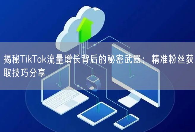 揭秘TikTok流量增长背后的秘密武器：精准粉丝获取技巧分享