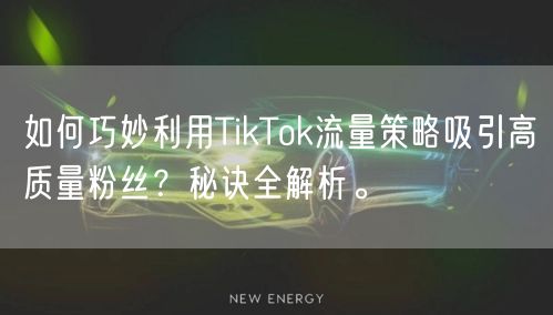 如何巧妙利用TikTok流量策略吸引高质量粉丝？秘诀全解析。