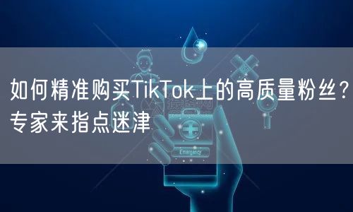 如何精准购买TikTok上的高质量粉丝？专家来指点迷津