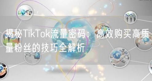 揭秘TikTok流量密码：高效购买高质量粉丝的技巧全解析