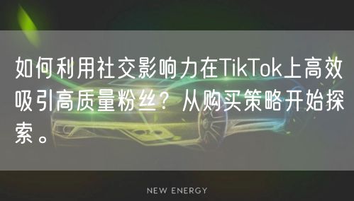 如何利用社交影响力在TikTok上高效吸引高质量粉丝？从购买策略开始探索。