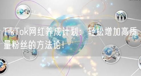 TikTok网红养成计划：轻松增加高质量粉丝的方法论！