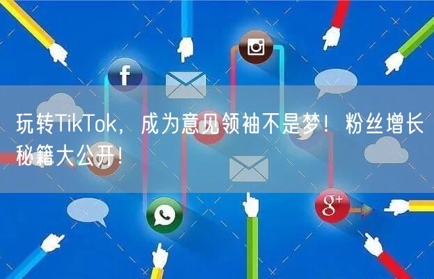 玩转TikTok，成为意见领袖不是梦！粉丝增长秘籍大公开！