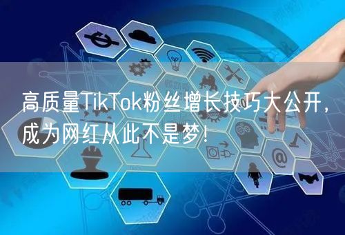 高质量TikTok粉丝增长技巧大公开，成为网红从此不是梦！