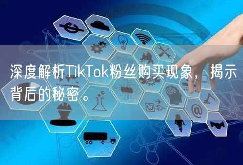 深度解析TikTok粉丝购买现象，揭示背后的秘密。