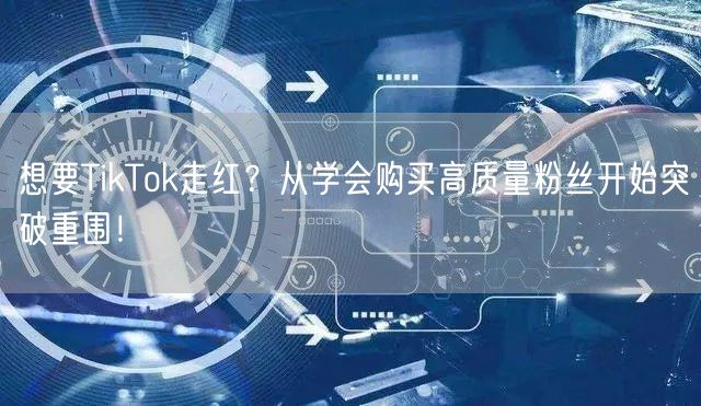 想要TikTok走红？从学会购买高质量粉丝开始突破重围！