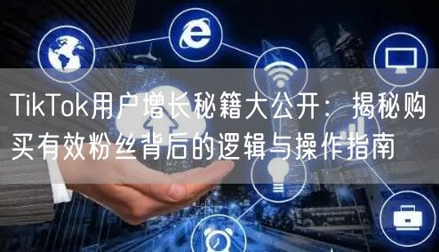 TikTok用户增长秘籍大公开：揭秘购买有效粉丝背后的逻辑与操作指南