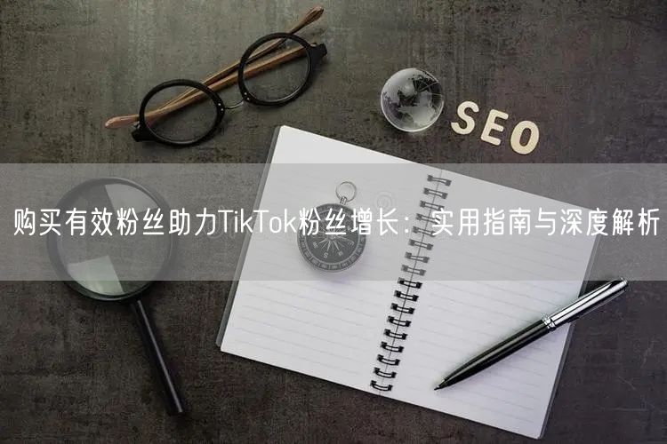 购买有效粉丝助力TikTok粉丝增长：实用指南与深度解析