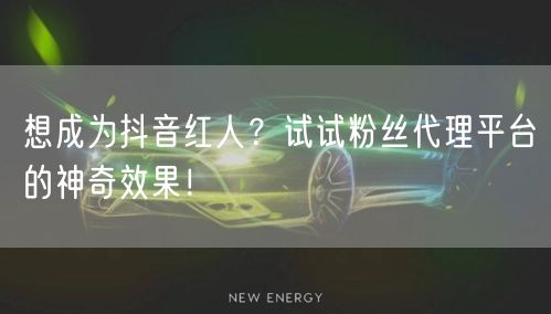 想成为抖音红人？试试粉丝代理平台的神奇效果！