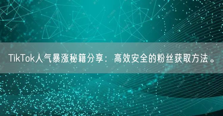 TikTok人气暴涨秘籍分享：高效安全的粉丝获取方法。