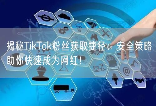 揭秘TikTok粉丝获取捷径：安全策略助你快速成为网红！