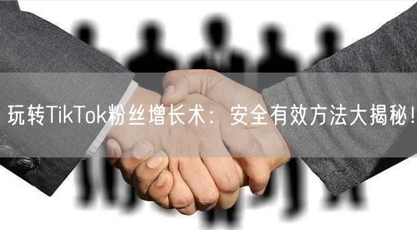 玩转TikTok粉丝增长术：安全有效方法大揭秘！