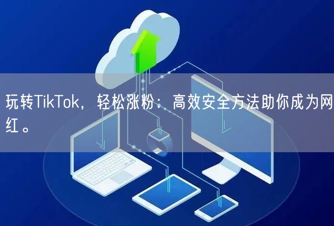 玩转TikTok，轻松涨粉：高效安全方法助你成为网红。