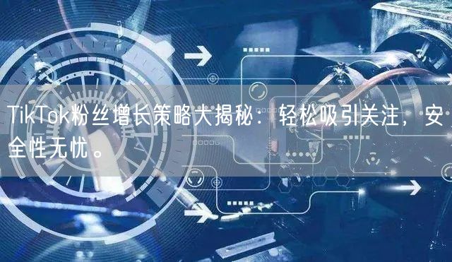 TikTok粉丝增长策略大揭秘：轻松吸引关注，安全性无忧。
