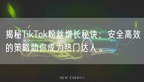 揭秘TikTok粉丝增长秘诀：安全高效的策略助你成为热门达人。