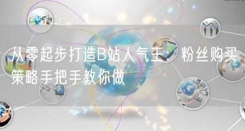 从零起步打造B站人气王：粉丝购买策略手把手教你做