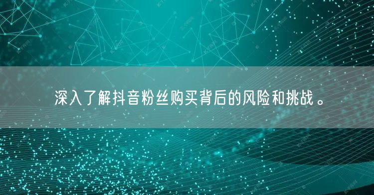 深入了解抖音粉丝购买背后的风险和挑战。