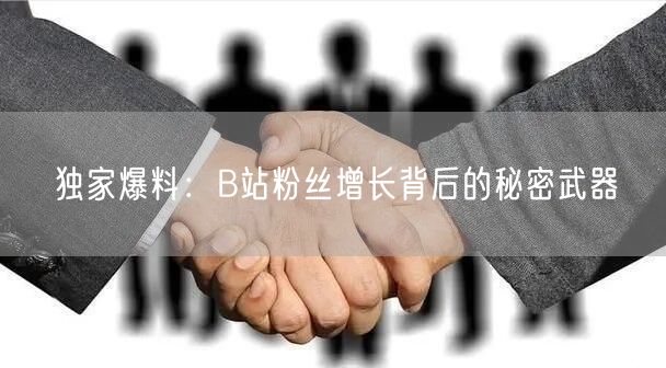 独家爆料：B站粉丝增长背后的秘密武器