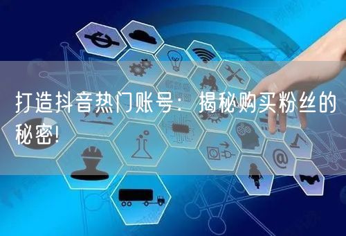 打造抖音热门账号：揭秘购买粉丝的秘密!