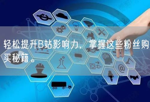 轻松提升B站影响力，掌握这些粉丝购买秘籍。