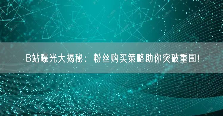 B站曝光大揭秘：粉丝购买策略助你突破重围！