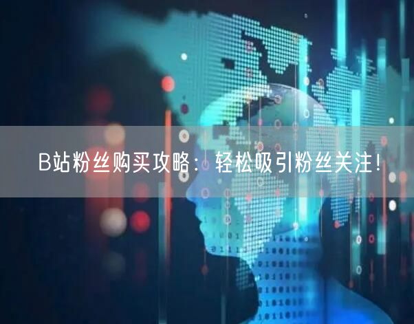 B站粉丝购买攻略：轻松吸引粉丝关注！