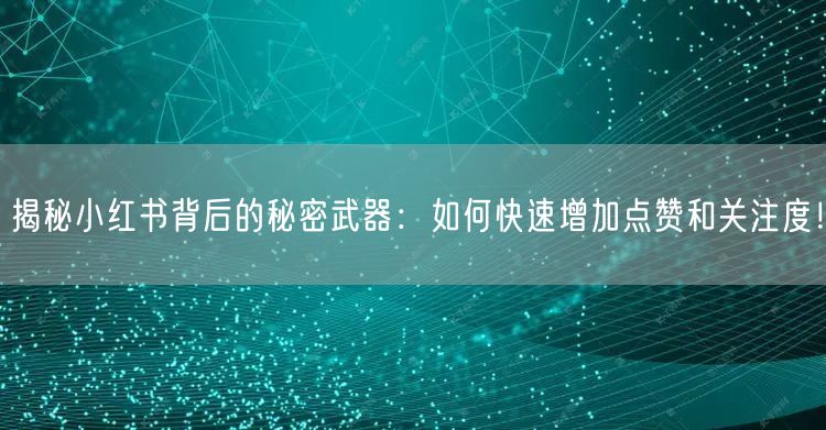 揭秘小红书背后的秘密武器：如何快速增加点赞和关注度！